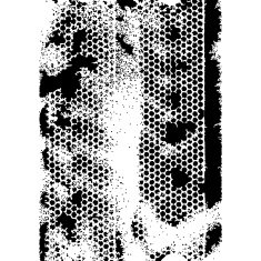 Abstract grunge dotted background N2