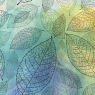 graphic texture of the leaves