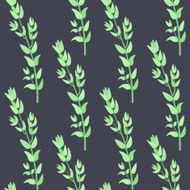 Herbs for cooking Thyme bunch vector seamless pattern