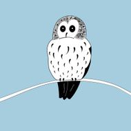 graphic owl N2