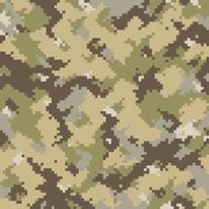 Digital camo N2