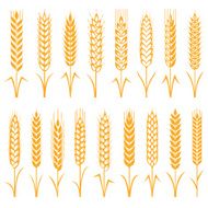 Wheat N3