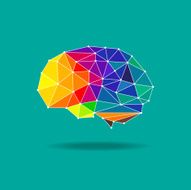 brain geometric vector N2