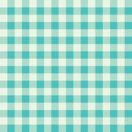 plaid pattern N10