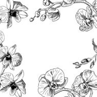 Orchids frame