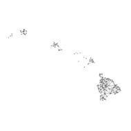 Hawaii Map Network Black And White
