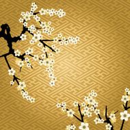 cherry blossom N22