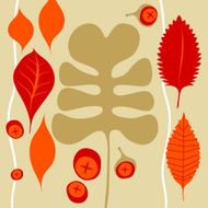 almost autumn natural leaf and nut elements