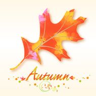 Autumn leaf symbol N2