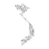 Vietnam Map Network Black And White