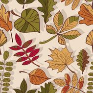 pattern of autumn leaves N6