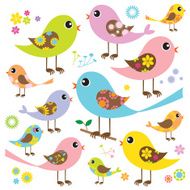 Colorful Birds with Pattern