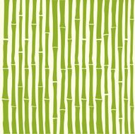 Green Bamboo pattern background textile print