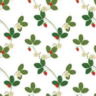 Strawberry seamless pattern N5