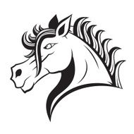 Horse Vector N4
