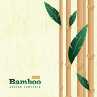 Square Bamboo design template on natural background with copy space