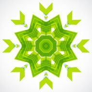set of abstract green floral pattern