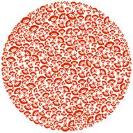 Japanaramarama