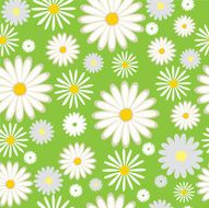 Pattern with flowers N16
