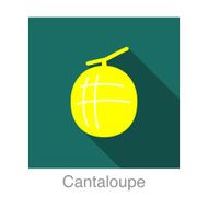 Cantaloupe food and drink flat icon series