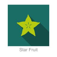 Star Fruit food and drink flat icon series