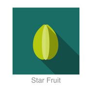Star Fruit food and drink flat icon series N2