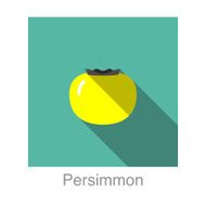 Persimmon food and drink flat icon series