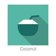 Coconut food and drink flat icon series