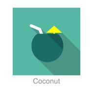 Coconut food and drink flat icon series N2
