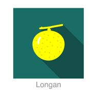 Longan food and drink flat icon series