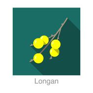 Longan food and drink flat icon series N2