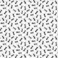 pattern with ants
