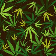 Cannabic pattern