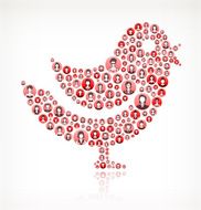 Bird Women Faces Girl Power Pattern