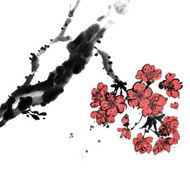 Cherry Blossoms N7