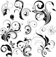 Vector Florals