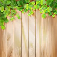 Green leaves on a wood texture Vector background
