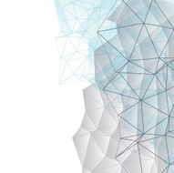 Network N17
