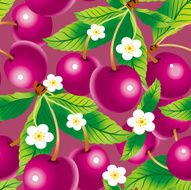 Cherry Background N2