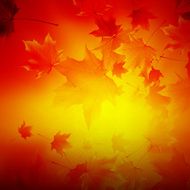 Delicate autumn sun with glare on gold sky