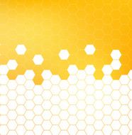 Honey pattern vector illustration N2