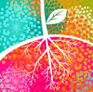 Plant roots