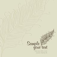 Feather background N6