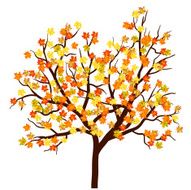 Autumn Maple Tree N2