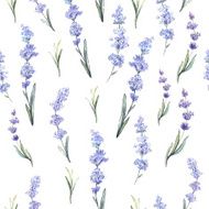 Watercolor lavender pattern
