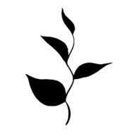 silhouette branch of tea with leaves