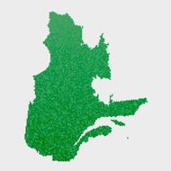 Quebec Map Green Hexagon Pattern