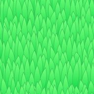 Grass - seamless texture