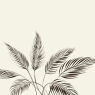 Palm tree over bamboo forest