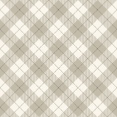 Abstract scottish diagonal plaid concept